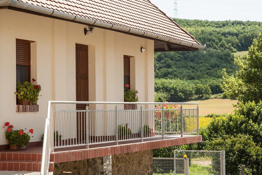 Hotel Wekler Családi Pincészet és Panzió Mecseknádasd Exterior foto